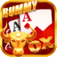rummy try app